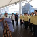 완도5호 이미지