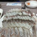 예약필수인 전북대병원 참돔전문점 청정회수산 방문후기
