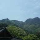 성불산자연휴양림 티스토리