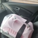 멍이살롱 이미지