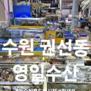 수원-0848 네이버블로그