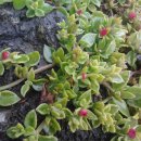 산양리 복지회관 이미지