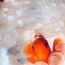 한화호텔앤드리조트(주)제주 이미지