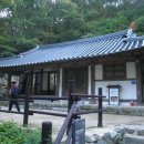 천년의 미소 이미지