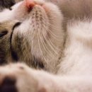 레메디칼 이미지