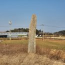 압해 동서리 선돌 | 문화재] 전남 신안군 압해도 동서리 선돌(송장수지팡이, 장군바위) 관람후기 - 시골 밭두렁 한가운데...