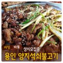 양  지 이미지