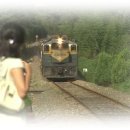 알로하오에 이미지