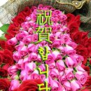 삼성초교 이미지