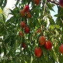 산정농장 이미지