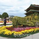 송이투어 이미지