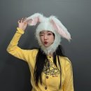 디씨땡 이미지