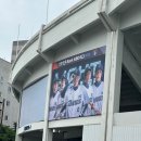 달천로(중2-121) | [250613] 기아 vs NC, 창원 NC파크, 내야석 121구역 19열 1,2번 좌석, 김형준 플레이어데이, 강우콜드