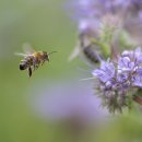 바로한의원 이미지