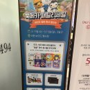 피그 패밀리 | [광교 갤러리아] 유아동 영어 원서 득템 찬스! '북메카 패밀리세일' 방문 후기 (안 가면 손해📚)