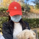 붙임머리엘르