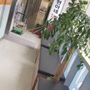 현아네집밥 이미지