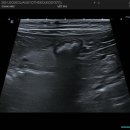 목동찬동물의료센터 이미지