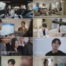 시그널 bnt뉴스