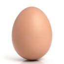 초이휘트니스 이미지