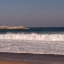 동해바다 이미지