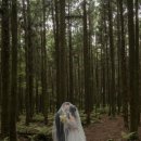 온담제주 이미지