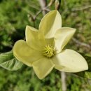 이인수 농장 이미지