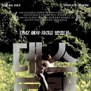 블리트필름 이미지