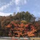 충주유기농체험교육센터 이미지