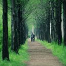 아름다운동행 이미지