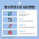 송림동물병원 이미지