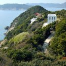 까멜리아 이미지