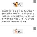 미리보는 띠별 내일의 운세 (11월9일) 이미지