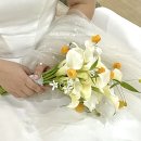 천안 샌더소니아 카라 실크드레스 본식 부케 후기 청당동 그린리프