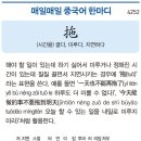 시간을 끌다, 미루다, 지연하다 이미지