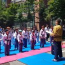 용인대 태풍 태권도장 네이버블로그