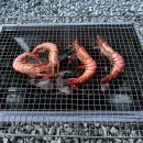 서울 경기 근교 캠핑장 내돈내산 추천 스테이 272 배치도 시설