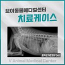 신제주동물병원 이미지