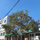 다락김밥 | 2025년 11월 1일 도봉산 다락능선코스 다녀온 후기 단풍있어요🍁