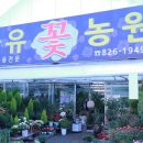 대전화분원예농원