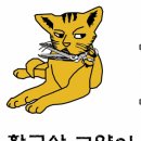 황금산 고양이 이미지