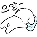 내품에동물병원 이미지