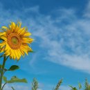 (유)산야 이미지