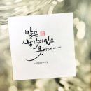 보슬보슬 Daum카페