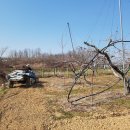 늘햇살농원 이미지