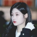 스마일 캣 이미지