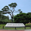 국채보상로 이미지