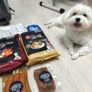 이글루아이스