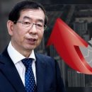 용산-315 이미지