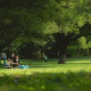 비밀정원 이미지